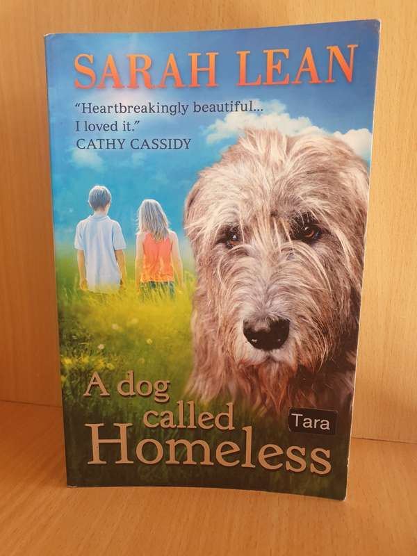 A Dog called Homeless: Sarah Lean (Paperback)