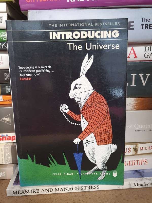 Introducing the Universe: Felix Pirani, Christine Roche (Paperback)