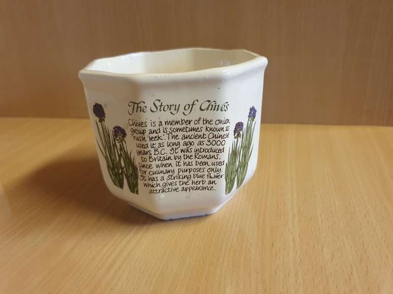 Chives Plant Pot/Planter (height 10cm width 12cm) New Condition