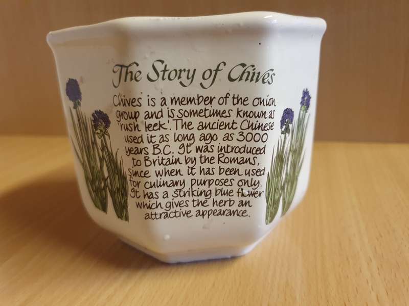 Chives Plant Pot/Planter (height 10cm width 12cm) New Condition