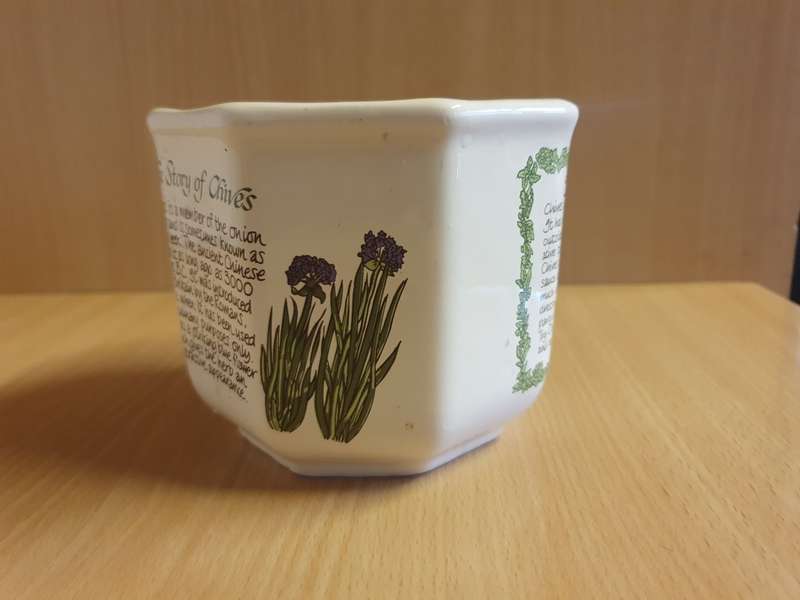 Chives Plant Pot/Planter (height 10cm width 12cm) New Condition