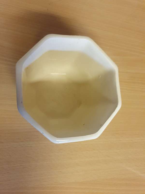 Chives Plant Pot/Planter (height 10cm width 12cm) New Condition