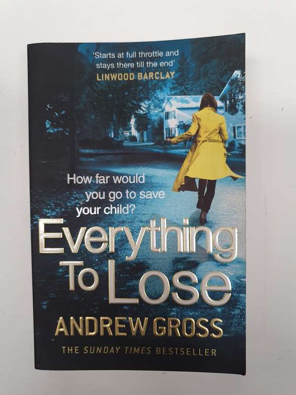 Everything to Lose: Andrew Gross (Paperback)