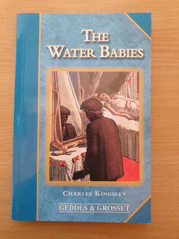 The Water Babies: Charles Kingsley (Paperback)