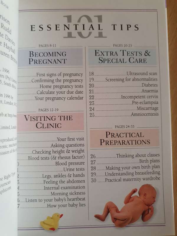 101 Essential Tips - Childbirth (Paperback)