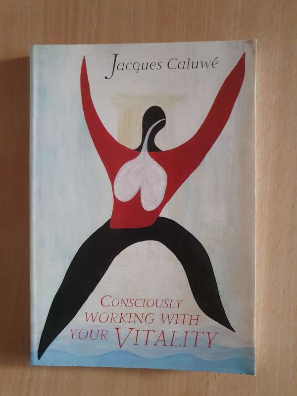 Consciously Working with Your Vitality: Jacques Caluwe (Paperback)