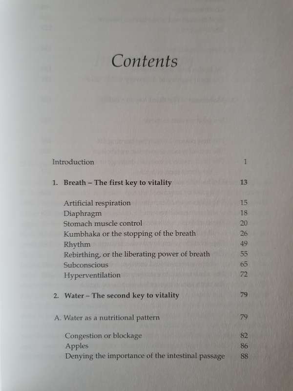Consciously Working with Your Vitality: Jacques Caluwe (Paperback)