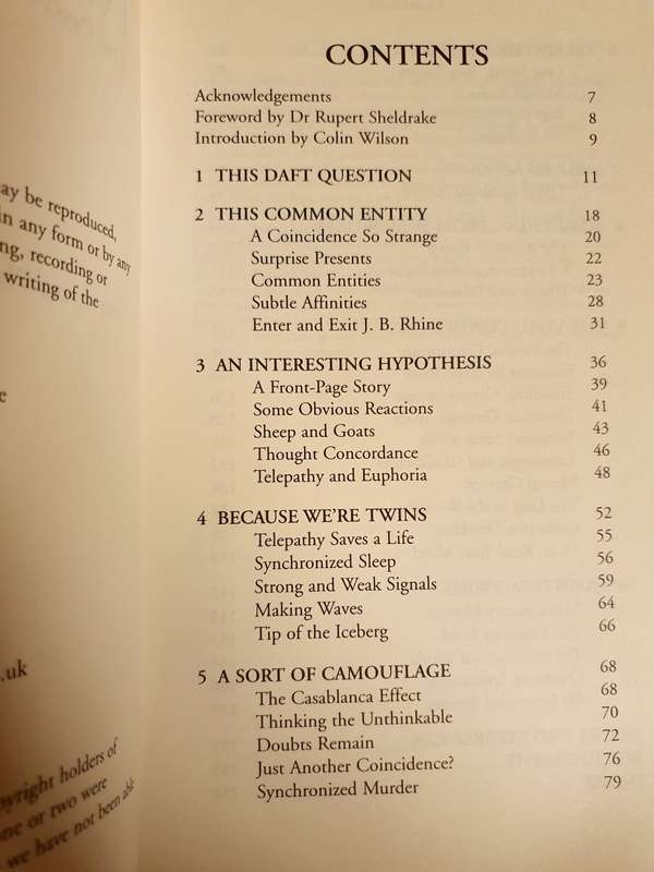 Twin Telepathy - The Psychic Connection: Guy Lyon Playfair (Paperback)