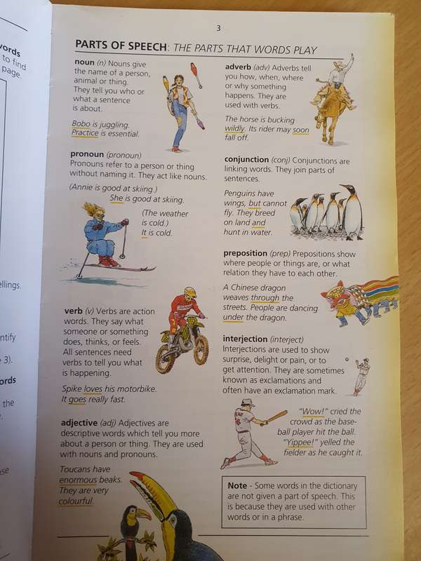 The Usborne Pocket Dictionary  (Paperback)