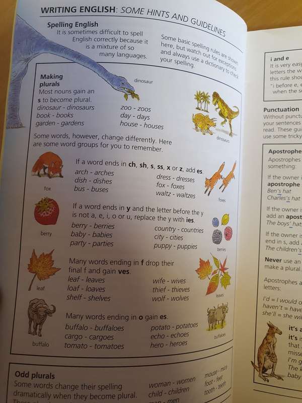 The Usborne Pocket Dictionary  (Paperback)