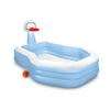 Swim Centre Shooting Hoops Family Pool