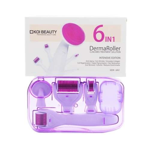 Derma Roller Kit 6 in 1 Micro Needle (1200/1.5mm 720/1.0mm 300/0.5mm 12needles+Silicon Brush) Skin C