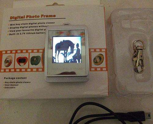 Mini key chain digital photo viewer