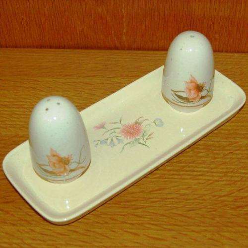 Ceramic Dish with Salt & Pepper Set ( Dish dose not match) Dish size 235mm X 95mm