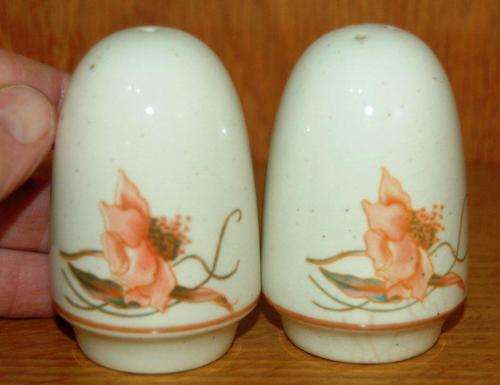 Ceramic Dish with Salt & Pepper Set ( Dish dose not match) Dish size 235mm X 95mm