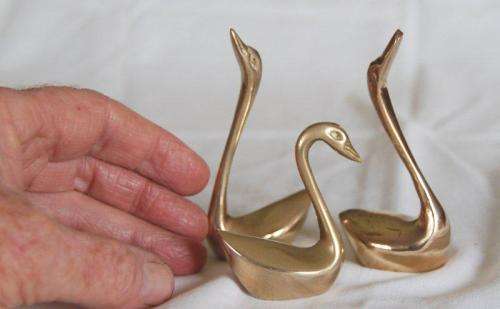 3 Brass Swans - Tallest 90mm