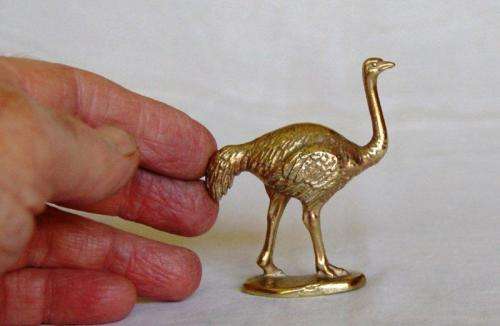 Brass Printers Tray Ostrich - Height 68mm