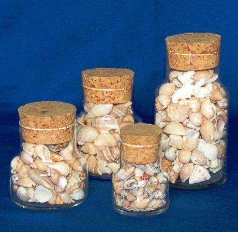 4 Assorted Bottles of Sea Shells - The Largest Jar is 160mm Tall and the Smallest is 78mm Tall