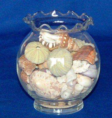 Glass Jar with Assorted Sea Shells - Jar is 135mm  tall