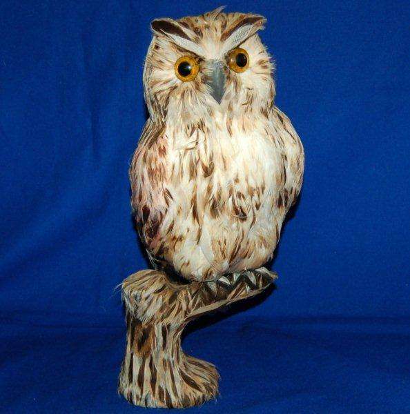 Stunning Real Feathers - Owl - Height 320mm