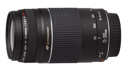 Canon Zoom Telephoto EF 75-300mm f/4.0-5.6 III USM Autofocus Lens