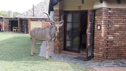 Dikhololo Resort 24-31 December 2021