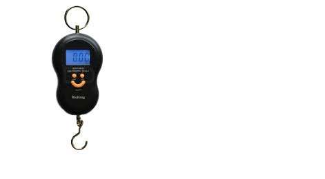 Portable Electronic Scale *FREE DELIVERY*