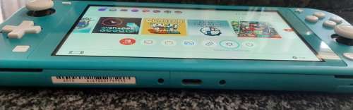 Nintendo Switch Lite( Has a crack in the body near the charging port no charger)
