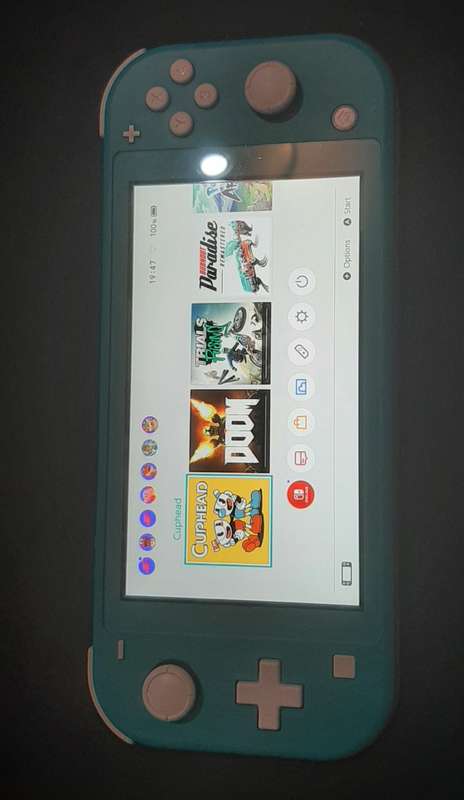 Nintendo Switch Lite ( Has a crack in the bottom housing) works 100%