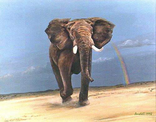 DESERT ELEPHANT AND RAINBOW - BEAUTIFUL CANVAS PRINT OF ORIGINAL PAINTING