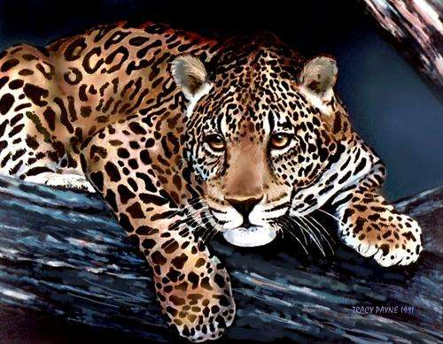LEOPARD IN TREE  - BEAUTIFUL  PRINT  OF ORIGINAL ARTWORK