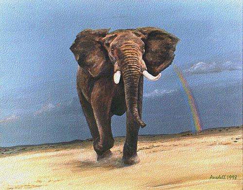 DESERT ELEPHANT AND RAINBOW - BEAUTIFUL PRINT OF ORIGINAL PAINTING