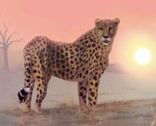 AFRICAN CHEETAH AT SUNRISE - BEAUTIFUL PRINT  OF ORIGINAL WATERCOLOURPAINTING