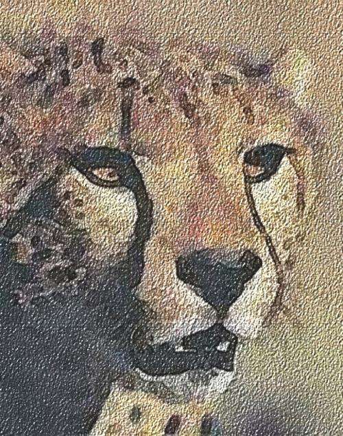 AFRICAN CHEETAH - BEAUTIFUL PRINT OF  ORIGINAL PAINTING