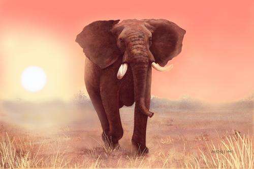 AFRICAN ELEPHANT AT DAWN - BEAUTIFUL  PRINT OF ORIGINAL PAINTING