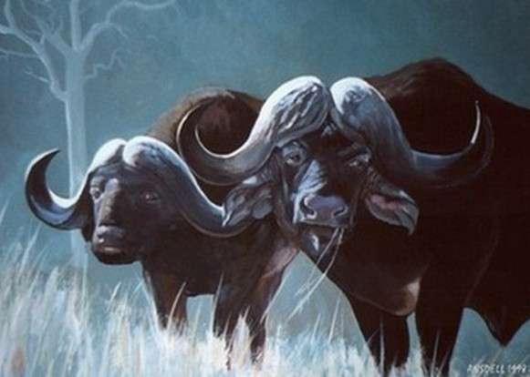 *AFRICAN BUFFALOES GRAZING - BEAUTIFUL CANVAS PRINT OF ORIGINAL PAINTING*