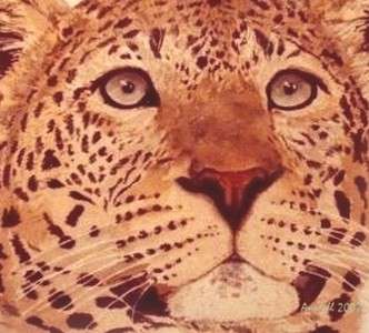 *LEOPARD HEAD - BEAUTIFUL CANVAS PRINT OF ORIGINAL PAINTING*