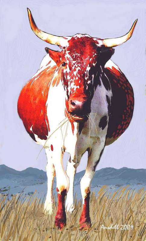 RED NGUNI BULL GRAZING - LARGE, BEAUTIFUL CANVAS PRINT OF ORIGINAL - FREE SHIPPING!