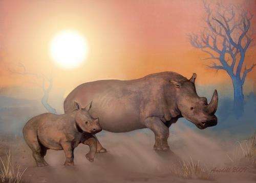 AFRICAN RHINOS AT DUSK - BEAUTIFUL PRINT ON CANVAS