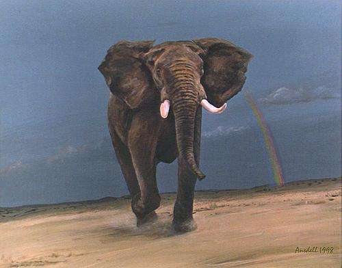 R1.00 start! *ELEPHANT AND RAINBOW* BEAUTIFUL CANVAS PRINT OR BOARD PRINT OF ORIGINAL    ras