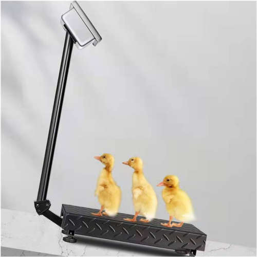 Electronic scale commercial precision weighing and pricing household platform scale 150KG