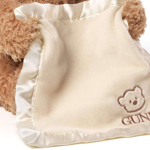 Peekaboo Bear Toy