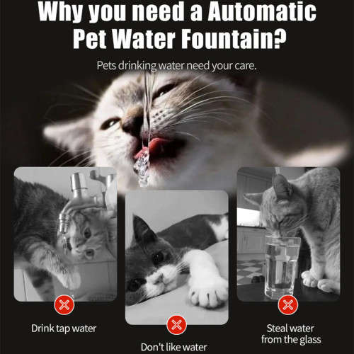 Intelligent Cat Drinking Fountain