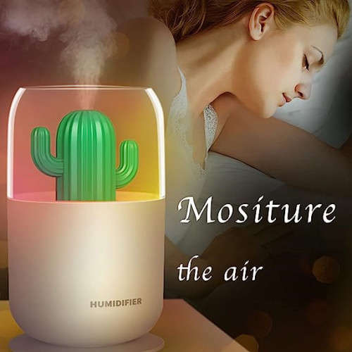Cute Cactus Humidifier Diffuser