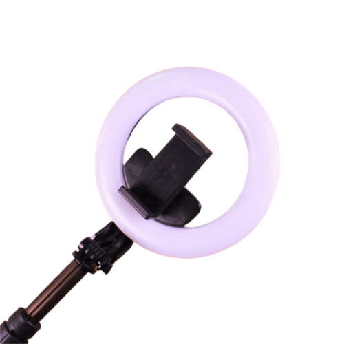 A18 Rechargeable Ring Light 360 Degree Motion Sensor