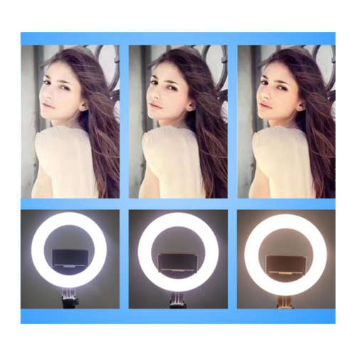 A18 Rechargeable Ring Light 360 Degree Motion Sensor