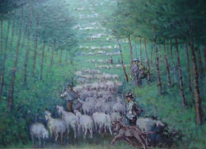 SERGIO CERNECCA