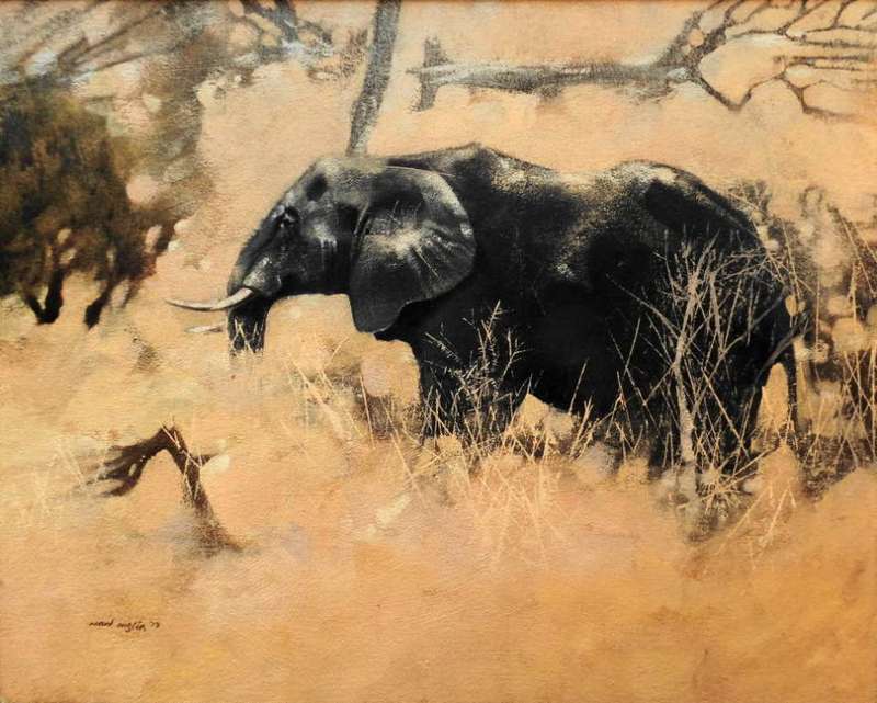 MARK ENSLIN