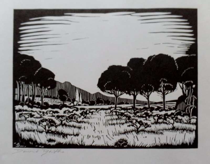 DAVID BOTHA (SA 1921-1995)