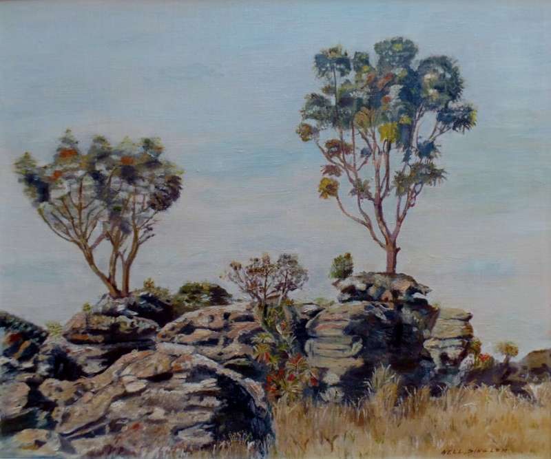NELL DINGLER - EASTERN TRANSVAAL NEAR GRASKOP - LARGE